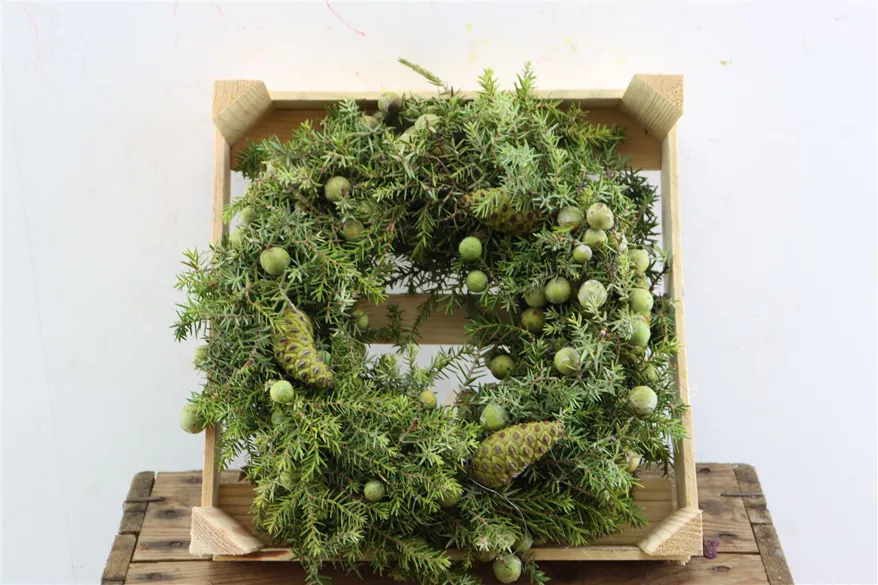 Wacholderkranz mit Ätzeln – Handgebunden aus frischem Naturgrün aus der Türkei  Ø ca. 25–30 cm